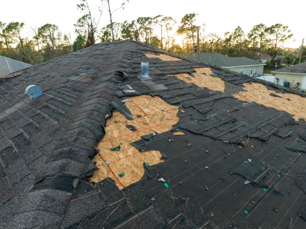 Asphalt Shingles Roofing in El Verano, CA