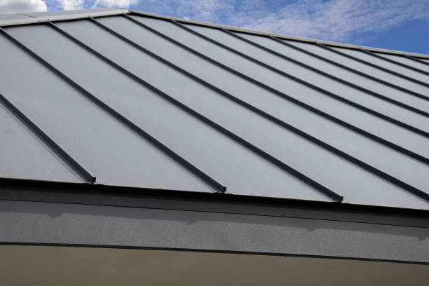 Best Roof Moss and Algae Removal  in El Verano, CA
